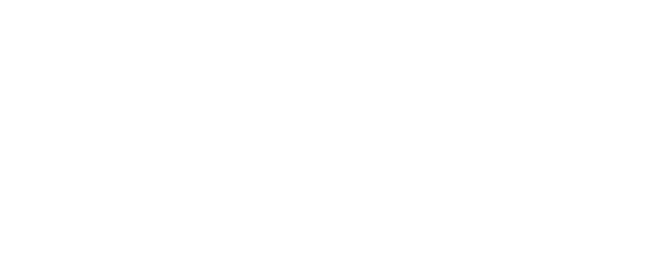 LOGO BRUT HOME BLANCO_Mesa de trabajo 1