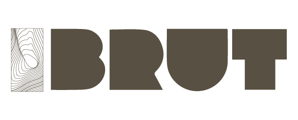 LOGO BRUT HOME_Mesa de trabajo 1
